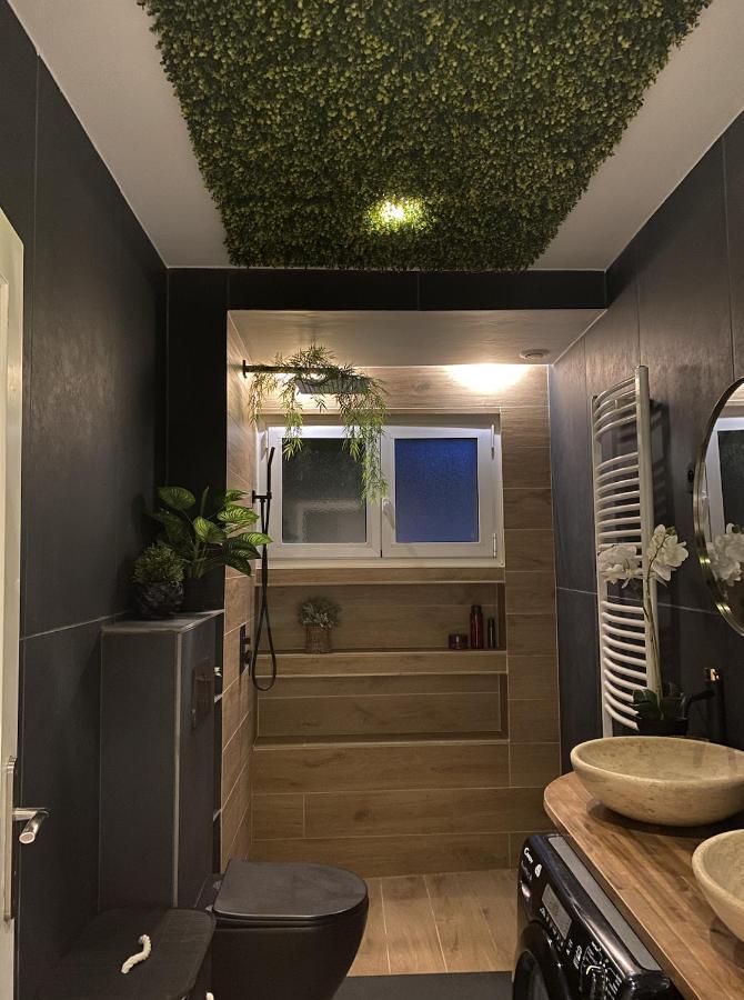 Apartmán Maison Lyon-Bron Eurexpo - Stadium Groupama Exteriér fotografie